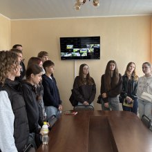 ліс 2