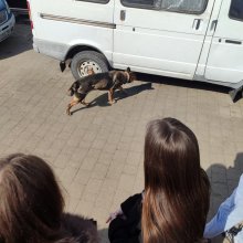 🎓 Знайомство з професією: практичний вимір митної справи для студентів