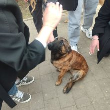 📌 Навчальний візит студентів до Держмитслужби 🇺🇦  25 березня студенти І курсу спеціальності «Податкова та митна справа» Хмельницького університету управління та права імені Леоніда Юзькова відвідали Департамент спеціалізованої підготовки та кінологічного забезпечення Держмитслужби.  Студенти ознайомилися з роботою митних органів, сучасними скануючими системами, неінтрузивними методами контролю, перевіркою дорогоцінних металів та роботою кінологічних команд.  Такий досвід дозволяє побачити, як теоретичні