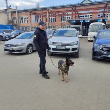 📌 Навчальний візит студентів до Держмитслужби 🇺🇦  25 березня студенти І курсу спеціальності «Податкова та митна справа» Хмельницького університету управління та права імені Леоніда Юзькова відвідали Департамент спеціалізованої підготовки та кінологічного забезпечення Держмитслужби.  Студенти ознайомилися з роботою митних органів, сучасними скануючими системами, неінтрузивними методами контролю, перевіркою дорогоцінних металів та роботою кінологічних команд.  Такий досвід дозволяє побачити, як теоретичні