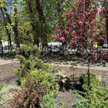 ЕКОлогічна ініціатива