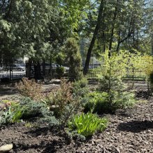 ЕКОлогічна ініціатива