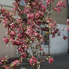 ЕКОлогічна ініціатива